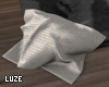 Leather Cushion