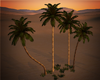 desert/oasis palms grass