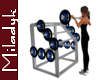 MLK Weight  Rack