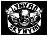 Lynyrd-Skynyrd-.