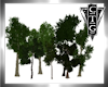 CTG GROVE OF TREES 7