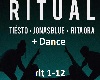 Tiësto-Ritual -Dance