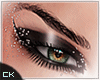 K| Edge Debut (Gigi)