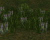 LKC Grass/Flower Patch