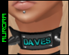 A| Daves Custom Collar
