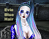 Evie Blue Hair