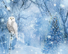 Owl Background Winter
