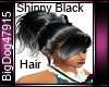 [BD] Shinny Black Hair