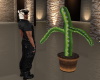 Fun Animated Cactus