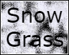 Snow Grass