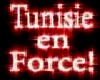 Tunisie vb (H)