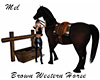 Brown Western Horse Anim