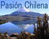 pasion chilena