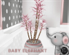BABY ELEPHANT PLANT