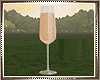 𝓼e| Champagne Glass