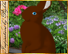 I~Chocolate Easter Bunny