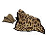 leopard sleeping blanket