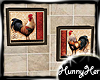 Set of Rooster Pics