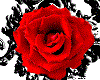 [DS]Rose3