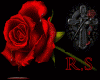 R.S Caixa rosas