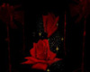 Valentine Rose backdrop