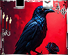 &acirc;�&deg;A&acirc;�&deg; Crow Art Frame