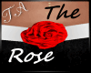 TA`Shy`s Red Rose