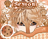 ✦ Biscotto | Hair