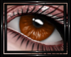 !T! Eyes | Nocturne O