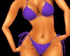 Splash Violet Bikini