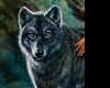 Native Dreamcatcher Wolf
