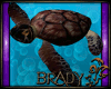 [B]brown sea turtle