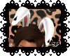 [iZS] Bunny Ears <3