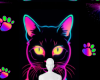 Neon meow background