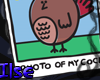 i~ Photo of my..