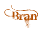 Bran 3