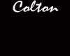 Colton Necklace