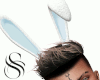 S&S Bunny Ears