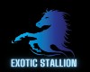 exotic stallion