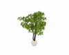 CP CHOC POTTED TREE