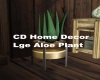 CD Home Decor Lge Aloe
