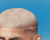 Degrade Blonde