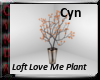 Loft Love Me Plant
