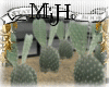 (';')Cactus Boxxxx