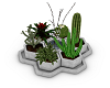 cactus garden hex
