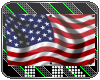 [TK] Flag: US of America