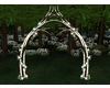 Forest Wedding Arch