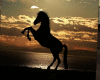 art -horse