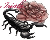Scorpion with Rose