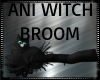 Dark Witch Broom